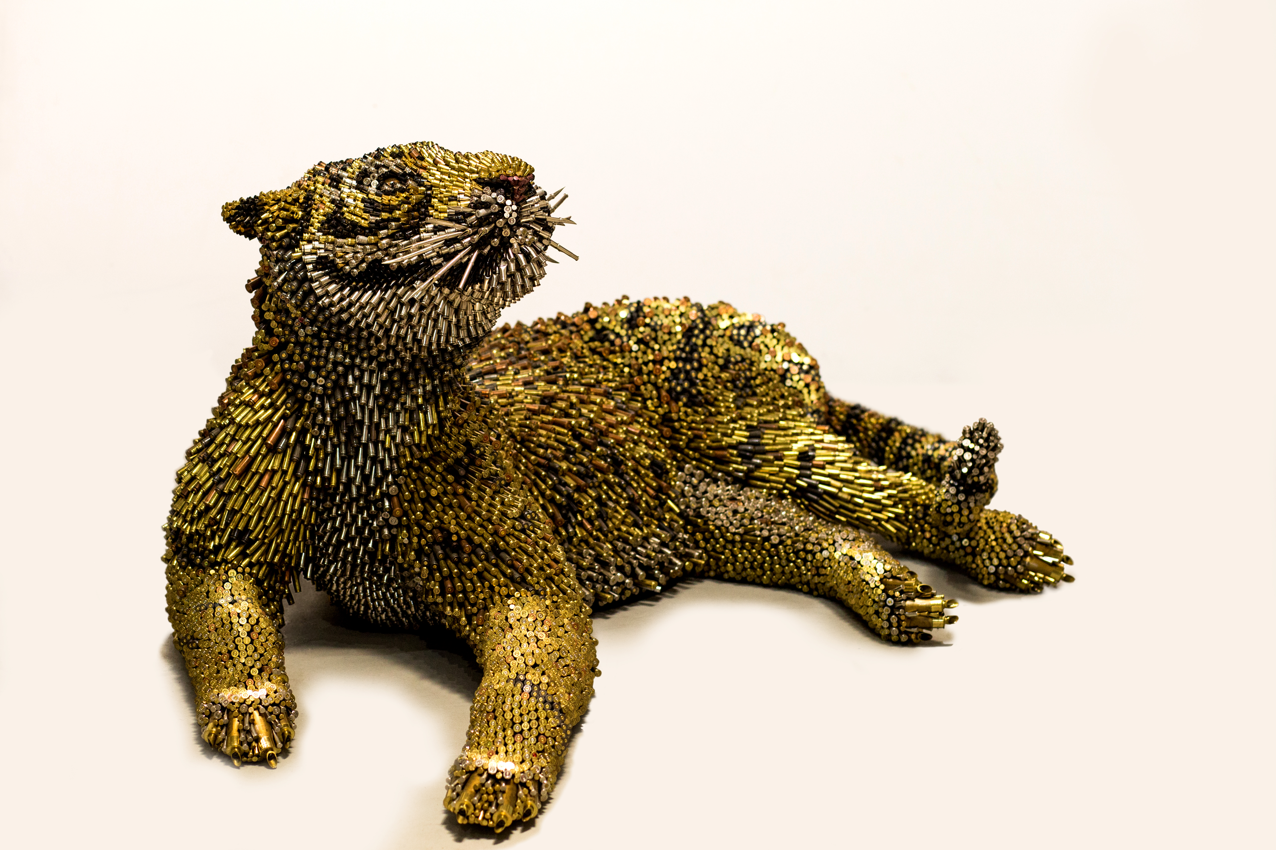 I'm an image! A tiger created by Federico Uribe from bullet shells.