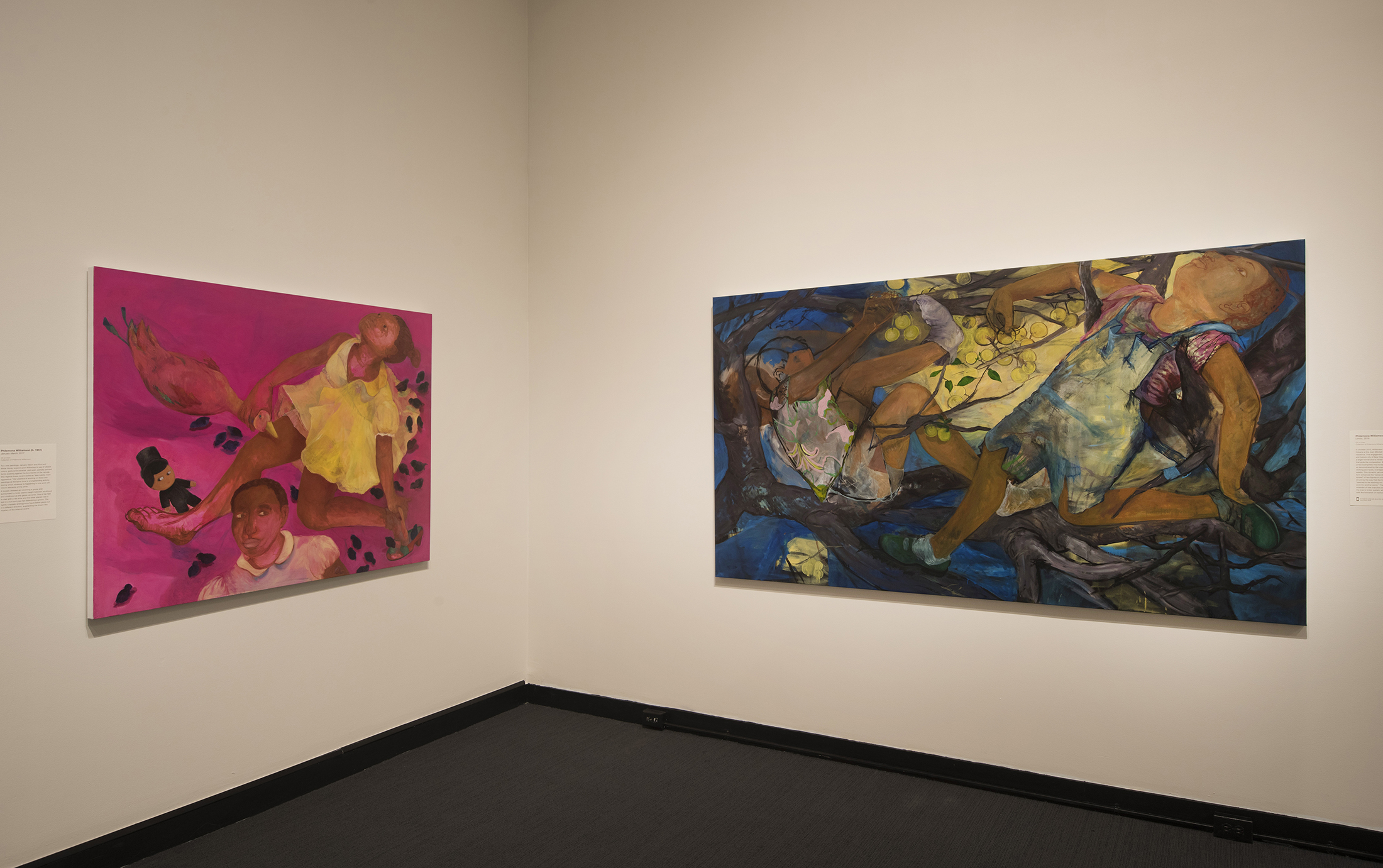 A view of Philemona Williamson's artwork in a MAM gallery.