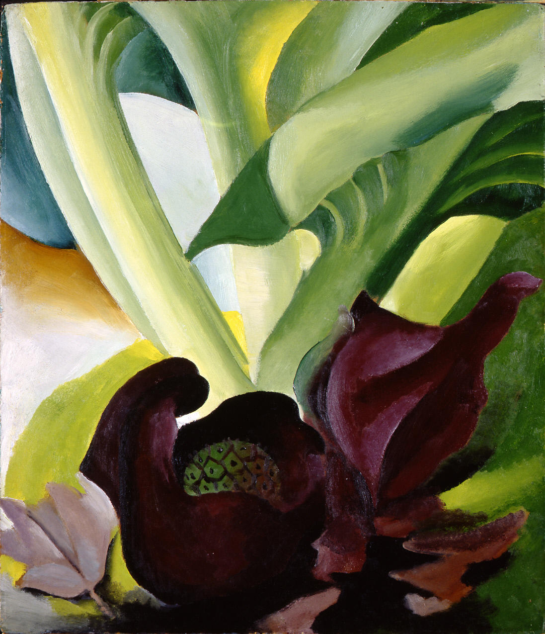 "Skunk Cabbage" (1927) by Georgia O'Keeffe