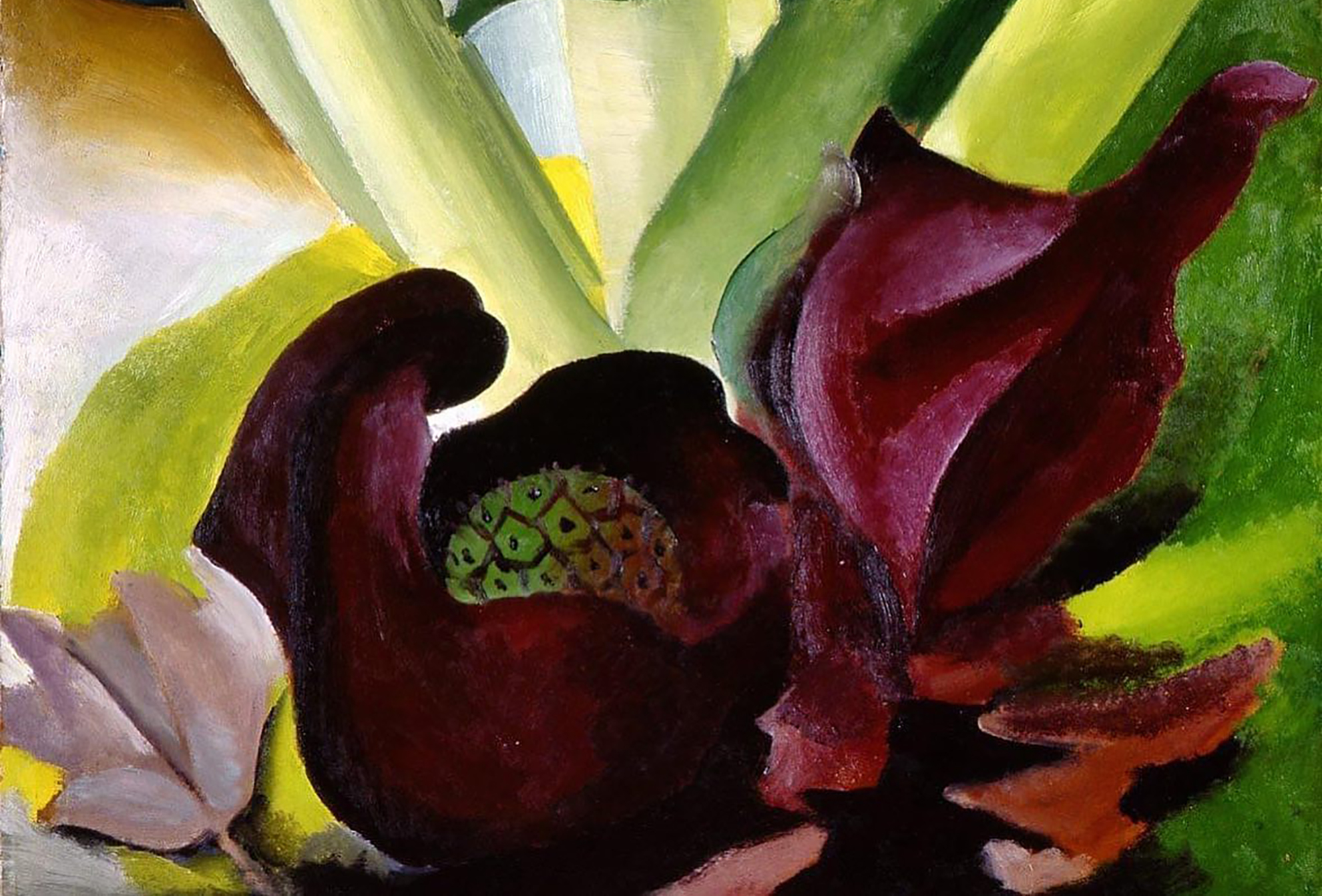 Skunk Cabbage (1927) by Georgia O’Keefe