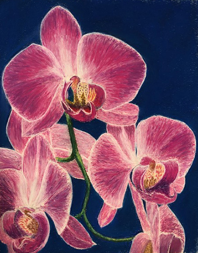 Bill Glasofer, "Orchids," 2021, Pastel on paper.
