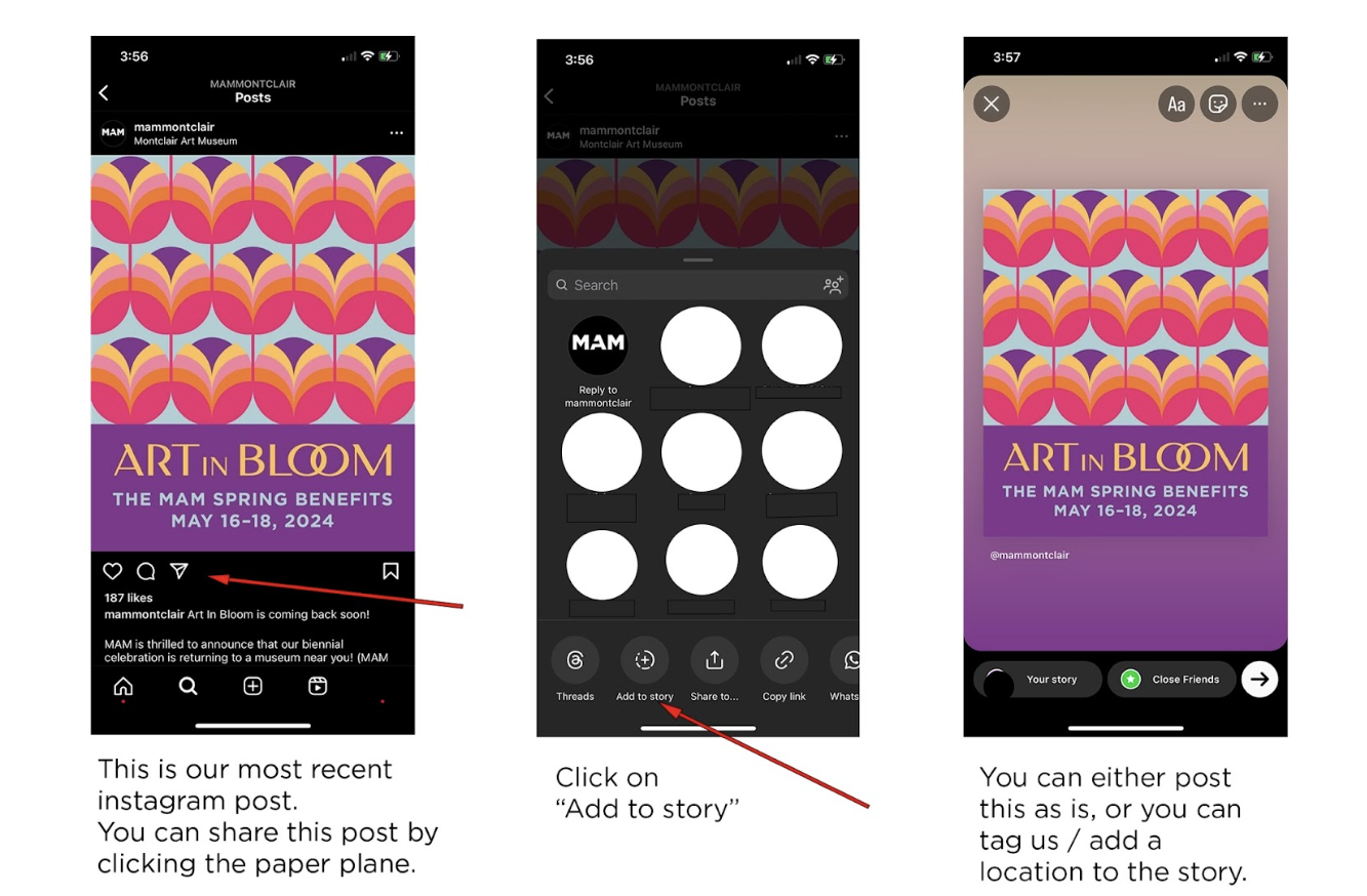 Instagram How to Share on Your Story Visual Guide