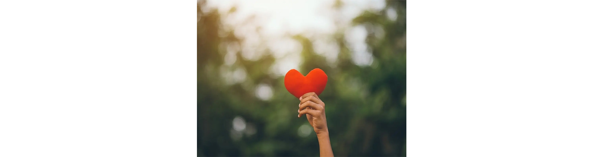 A hand holds a bright red heart against a blurred green background