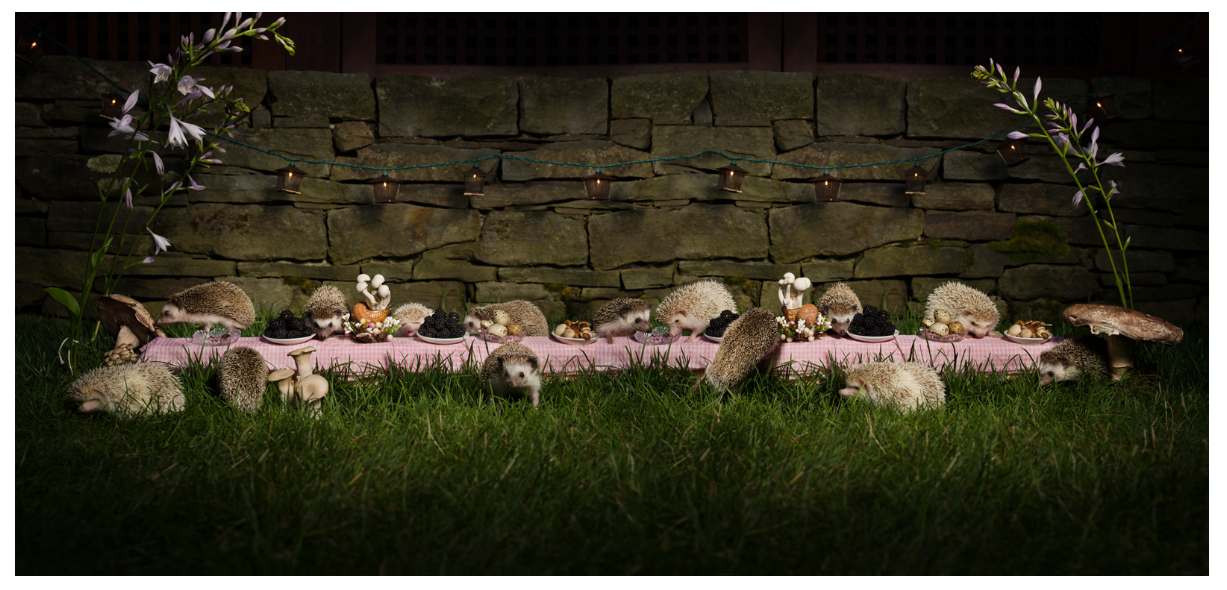A whimsical picnic scene with hedgehogs dining on a pink tablecloth, surrounded by mushrooms and flowers, set against a stone wall.