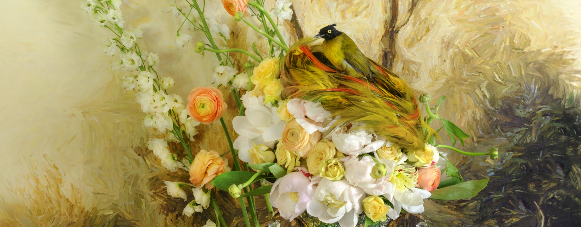 Detail of JP Terlizzi (b. 1962). "Black Crested Bulbul with Pomegranate Nesting", 2025. Archival pigment print, Ed. 7 + 2AP. Collection of the artist.