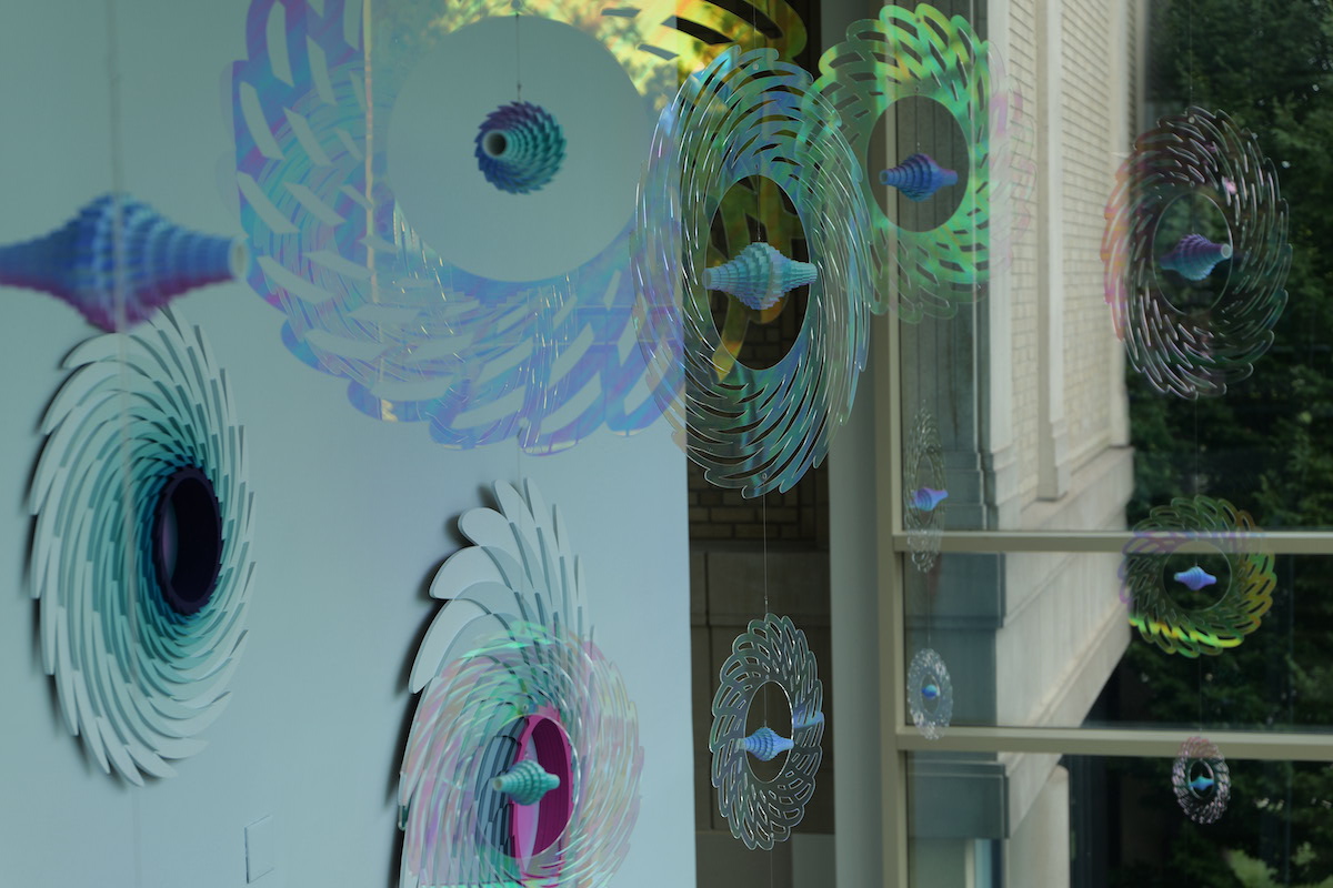 Colorful, iridescent spiral designs and shells suspended against a light wall, reflecting natural light in a vibrant display.