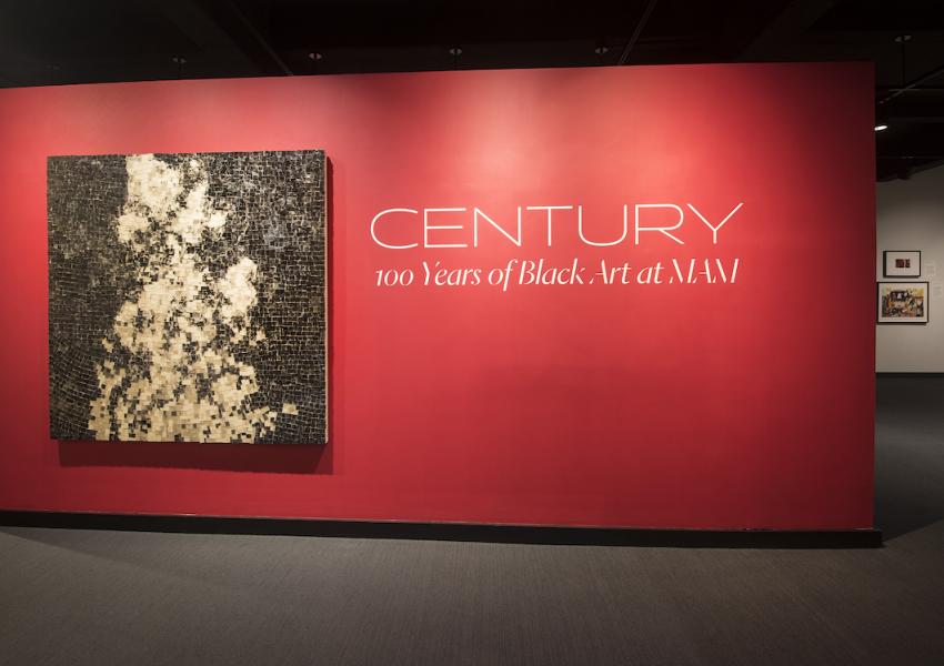 Installation view of "Century: 100 Years of Black Art at MAM," photo credit: Peter Jacobs