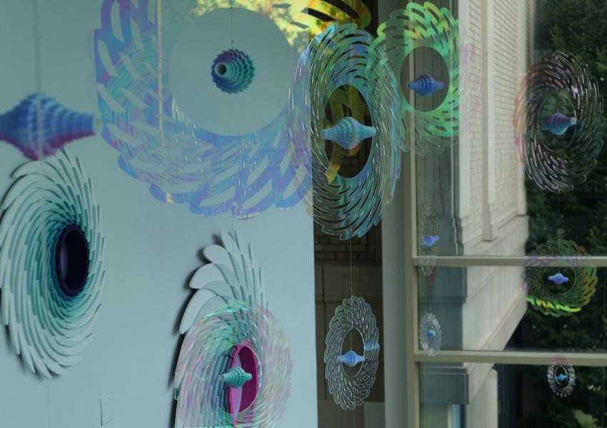 Colorful, iridescent spiral designs and shells suspended against a light wall, reflecting natural light in a vibrant display.