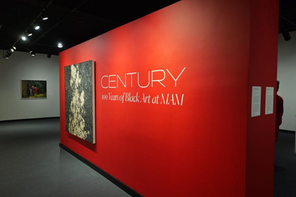 A red wall built to greet museum-goers as they enter the "Century" exhibition at MAM.