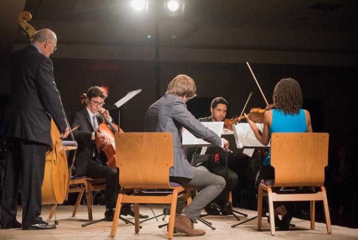 The backs of several orchestra performers sitting in chairs while playing.