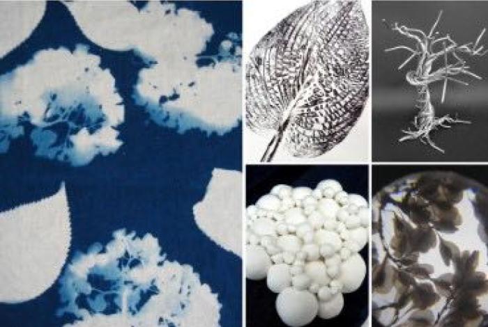 Examples of works from the art forms in nature workshop.