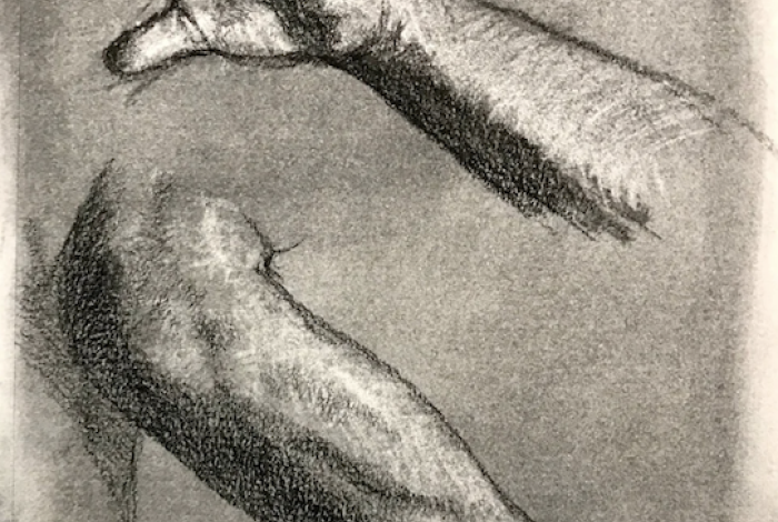 Charcoal rendering of an arm and a leg